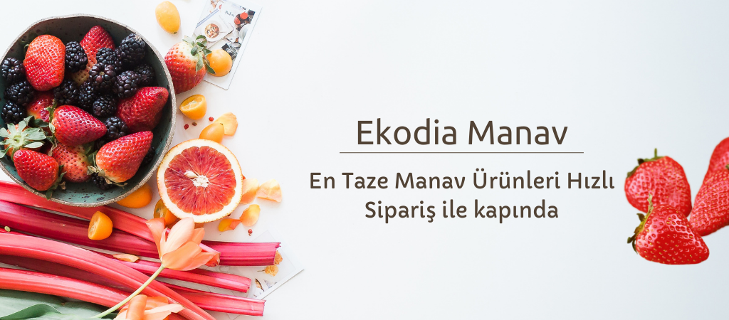 EkodiaManav